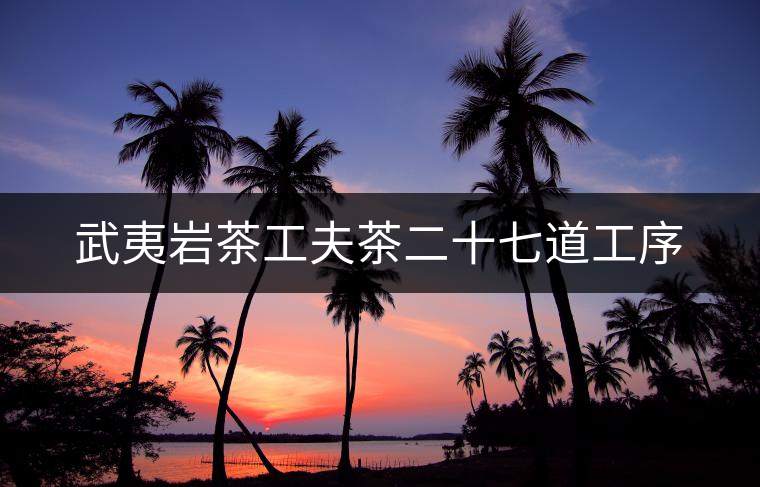武夷巖茶工夫茶二十七道工序 武夷巖茶工夫茶二十七道工序
