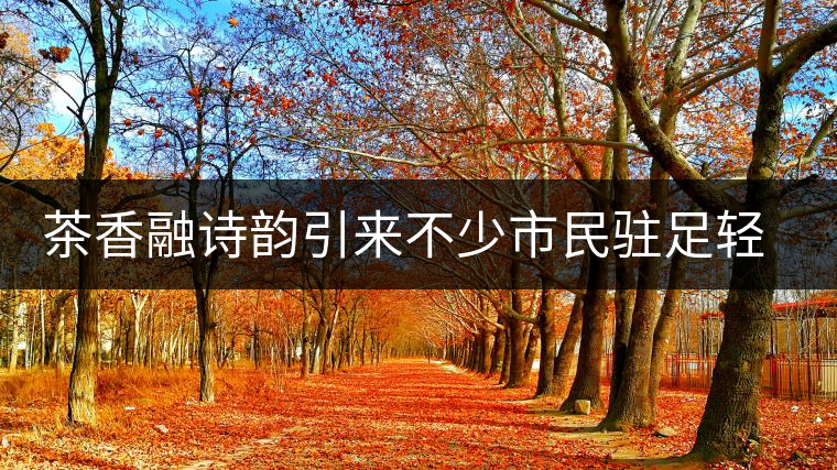 茶香融詩韻引來不少市民駐足輕吟 茶香融詩韻引來不少市民駐足輕吟