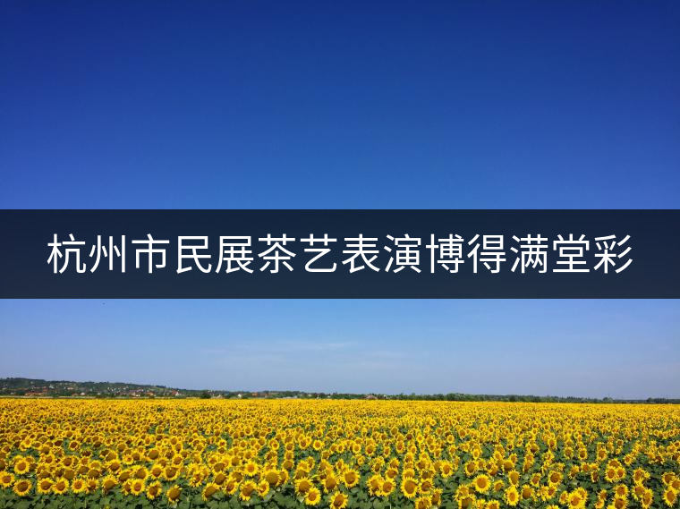 杭州市民展茶藝表演博得滿堂彩