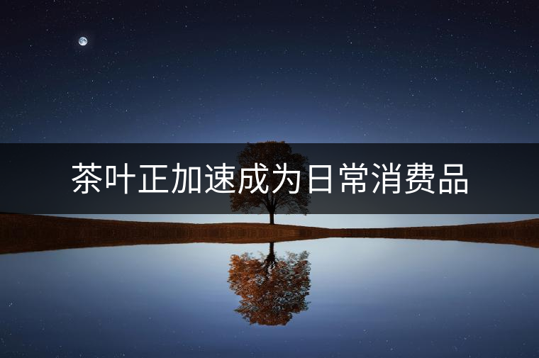 茶葉正加速成為日常消費品