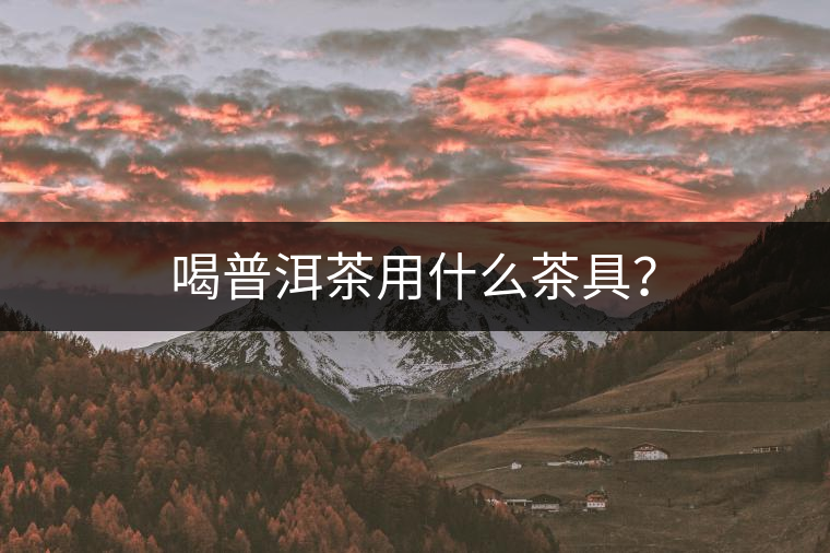 喝普洱茶用什么茶具？