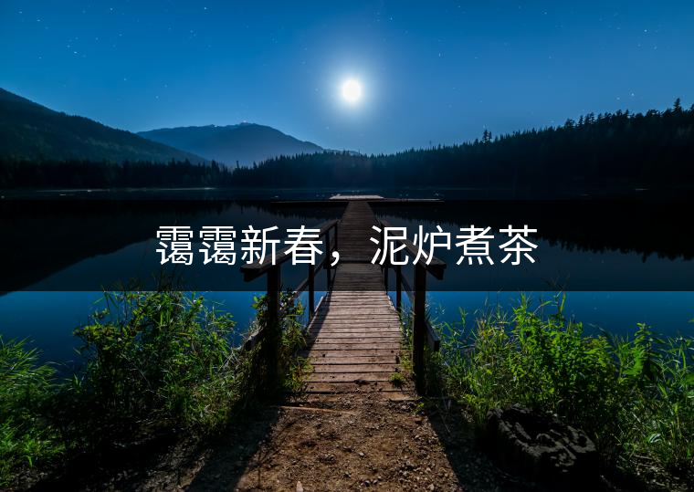 靄靄新春，泥爐煮茶
