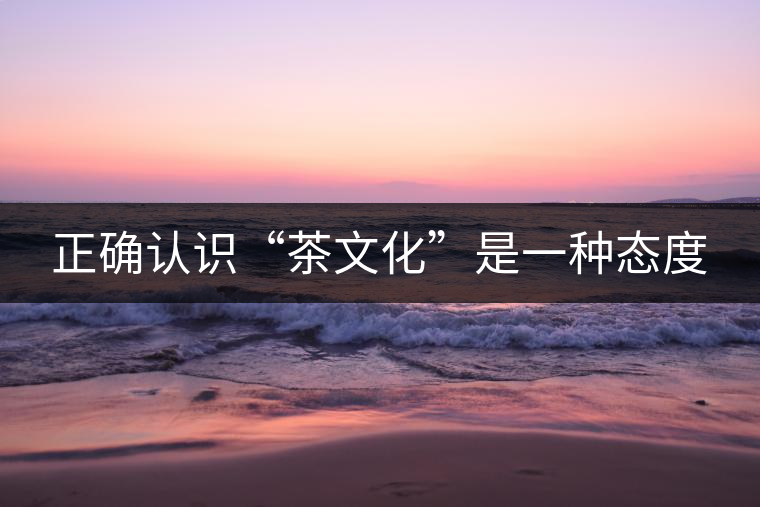 正確認(rèn)識“茶文化”是一種態(tài)度