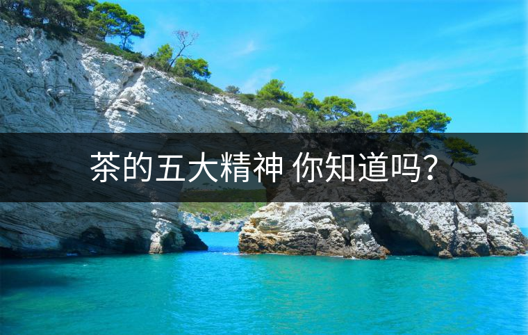 茶的五大精神 你知道嗎？
