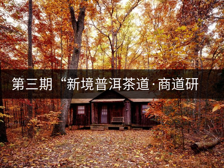 第三期“新境普洱茶道·商道研修班”茶山考察（五）——古六大茶山篇