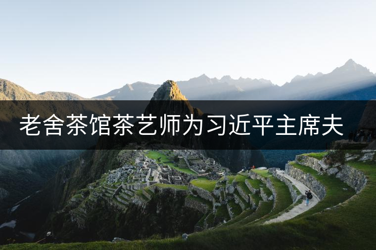 老舍茶館茶藝師為習(xí)近平主席夫人彭麗媛女士和外國(guó)領(lǐng)導(dǎo)人夫人表演茶藝