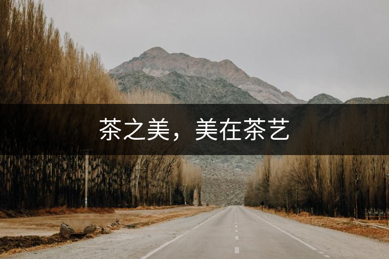 茶之美，美在茶藝