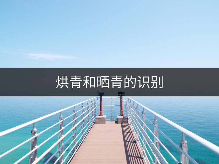 烘青和曬青的識(shí)別