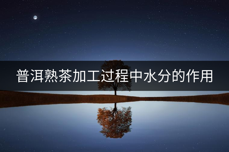 普洱熟茶加工過程中水分的作用