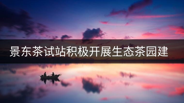 景東茶試站積極開(kāi)展生態(tài)茶園建設(shè)
