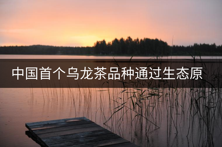 中國首個烏龍茶品種通過生態(tài)原產(chǎn)地產(chǎn)品保護現(xiàn)場評定