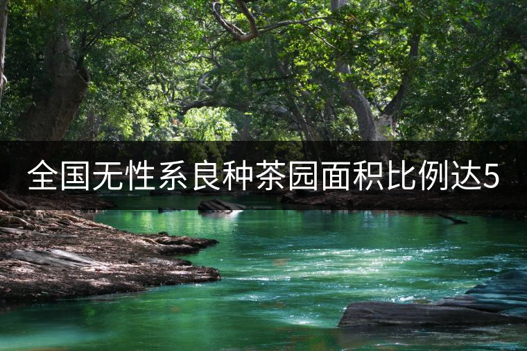 全國無性系良種茶園面積比例達(dá)56.5% 有機(jī)茶園6.2%