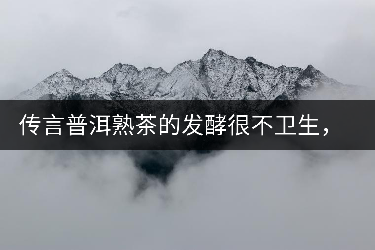 傳言普洱熟茶的發(fā)酵很不衛(wèi)生，是真的嗎？