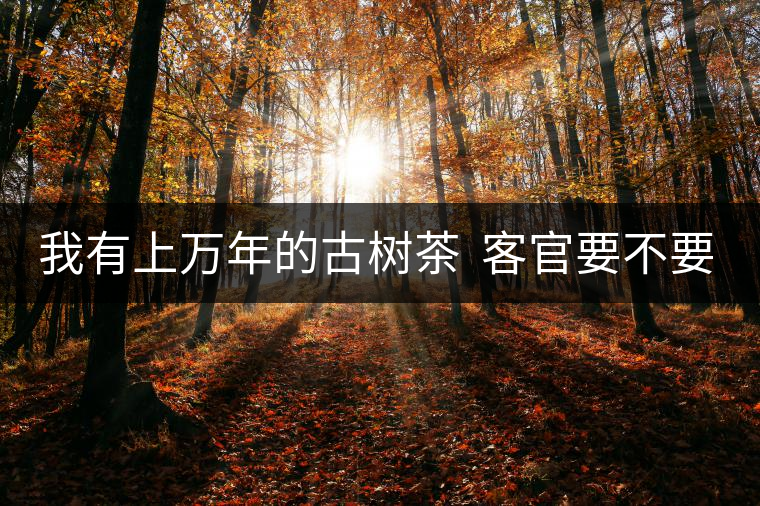 我有上萬年的古樹茶  客官要不要嘗嘗？