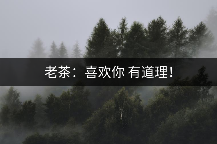 老茶：喜歡你 有道理！