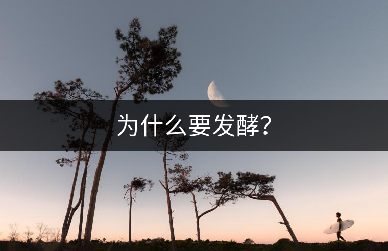 為什么要發(fā)酵？