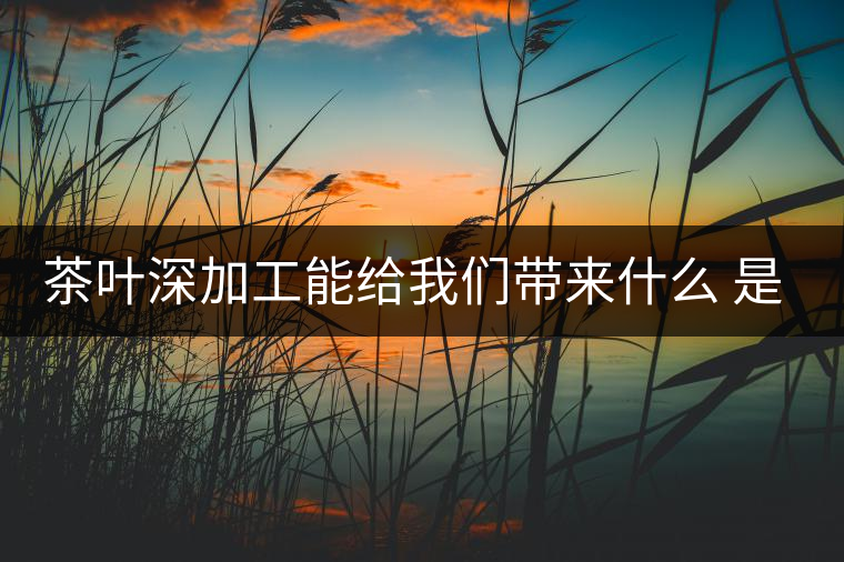 茶葉深加工能給我們帶來什么 是利還是弊呢？