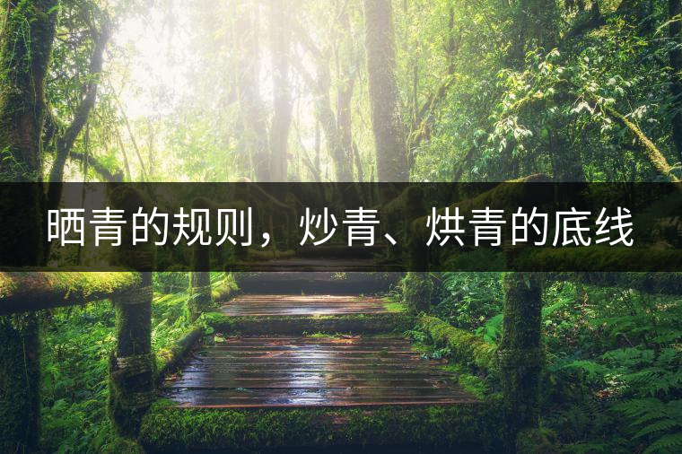 曬青的規(guī)則，炒青、烘青的底線