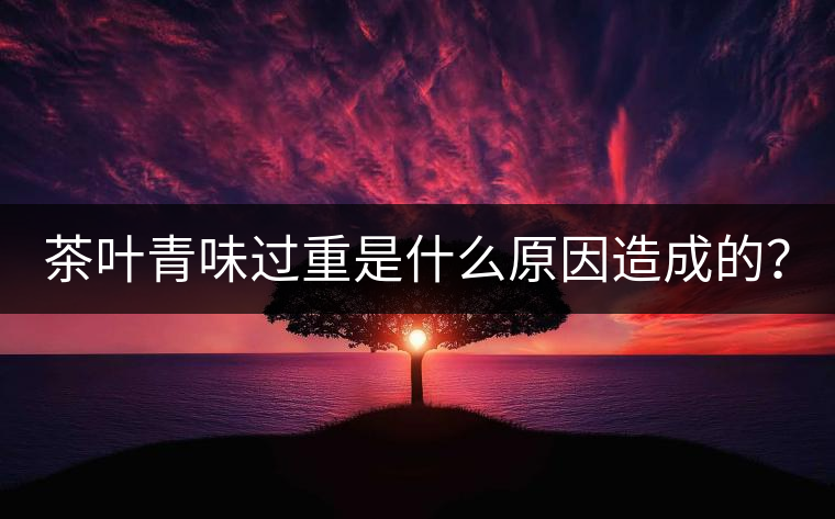 茶葉青味過重是什么原因造成的？