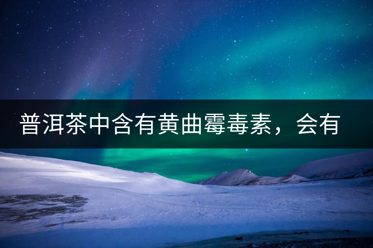 普洱茶中含有黃曲霉毒素，會有致癌的危險？終于有明確的答案了