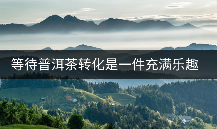 等待普洱茶轉(zhuǎn)化是一件充滿樂(lè)趣的事