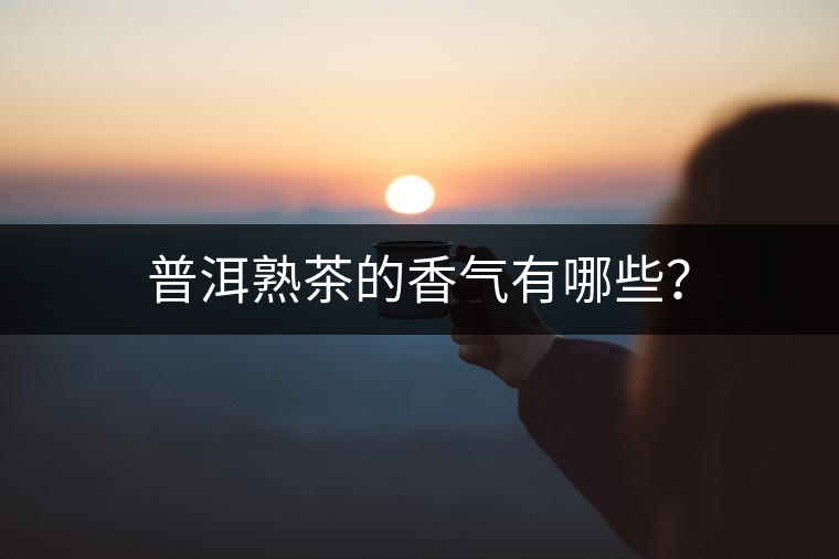 普洱熟茶的香氣有哪些？