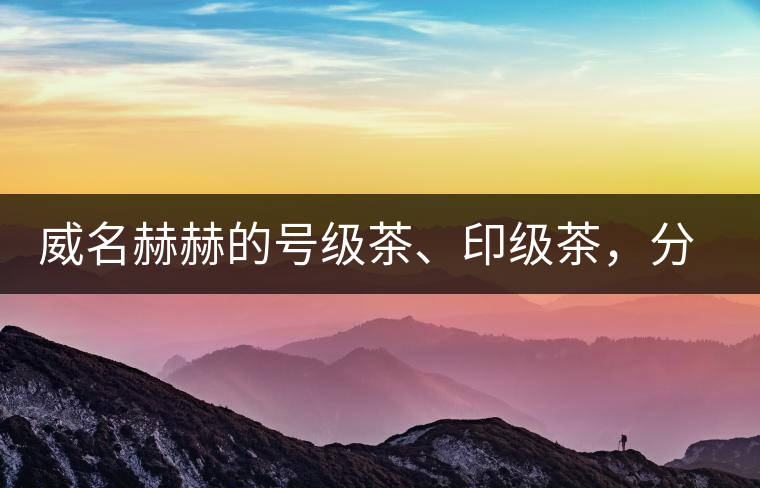 威名赫赫的號(hào)級(jí)茶、印級(jí)茶，分別是些什么普洱茶？