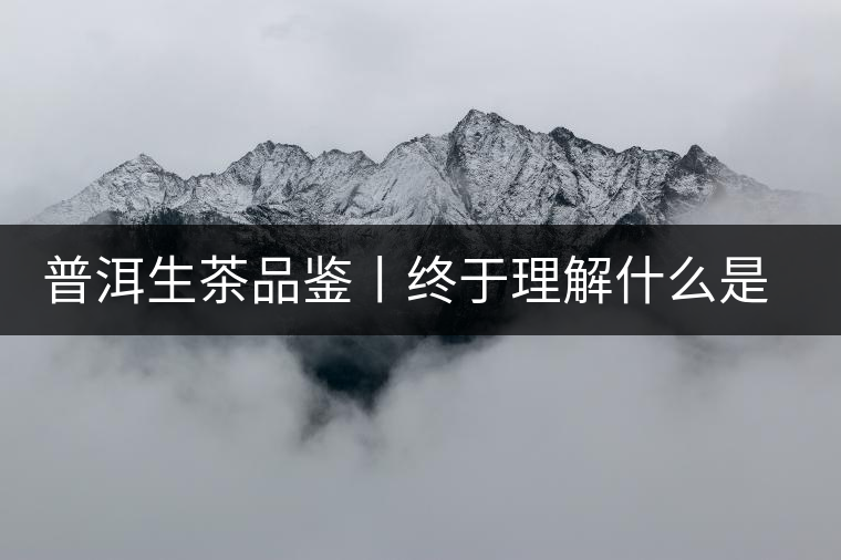 普洱生茶品鑒丨終于理解什么是“醇厚、耐泡，回甘”了