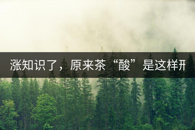 漲知識了，原來茶“酸”是這樣形成的！