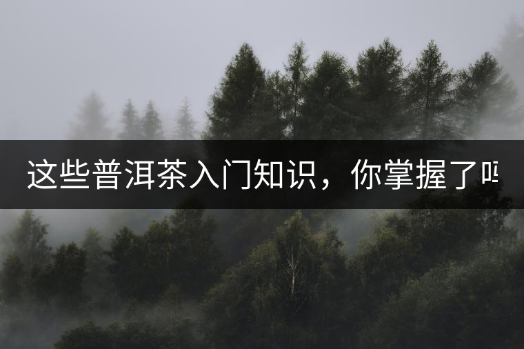 這些普洱茶入門知識，你掌握了嗎？