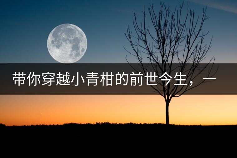 帶你穿越小青柑的前世今生，一文看透茶界“萌寵”的來歷
