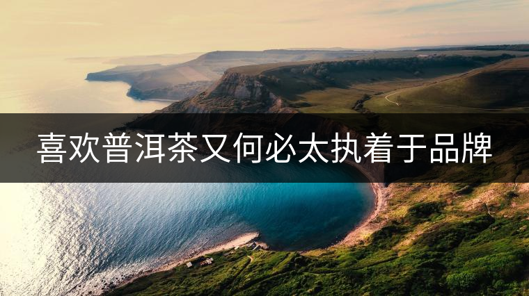 喜歡普洱茶又何必太執(zhí)著于品牌 喜歡普洱茶又何必太執(zhí)著于品牌
