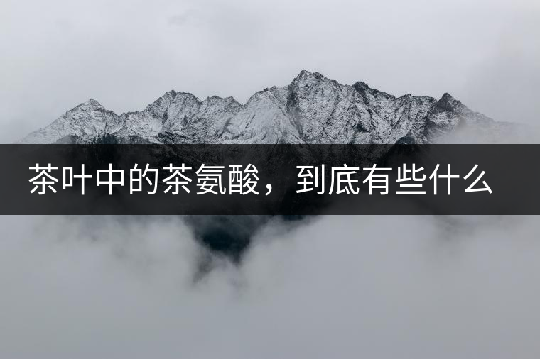 茶葉中的茶氨酸，到底有些什么功效？