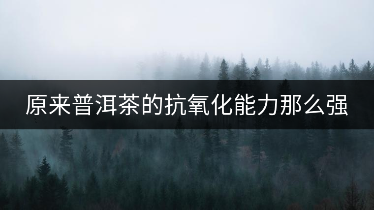 原來(lái)普洱茶的抗氧化能力那么強(qiáng)