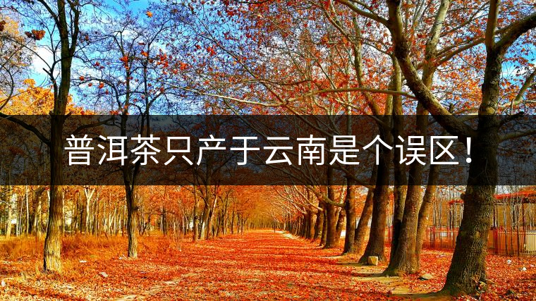 普洱茶只產(chǎn)于云南是個(gè)誤區(qū)! 普洱茶只產(chǎn)于云南是個(gè)誤區(qū)!