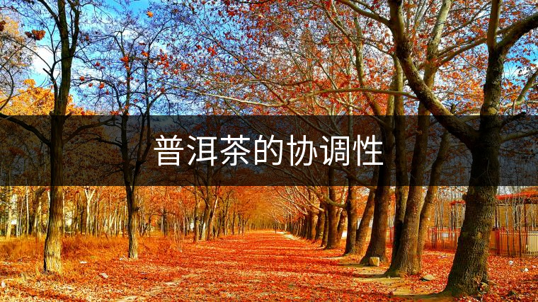 普洱茶的協(xié)調(diào)性 普洱茶的協(xié)調(diào)性