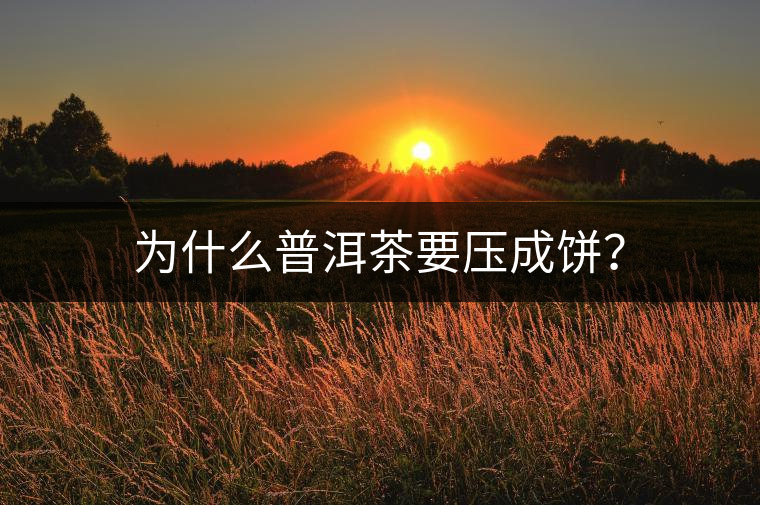 為什么普洱茶要壓成餅？