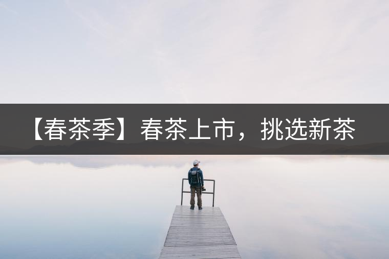 【春茶季】春茶上市，挑選新茶有講究
