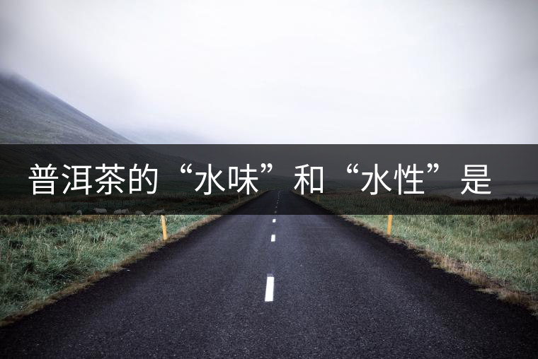 普洱茶的“水味”和“水性”是一種東西還是兩種東西？