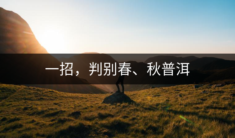 一招，判別春、秋普洱