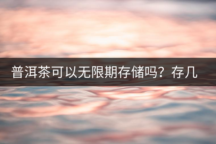 普洱茶可以無限期存儲嗎？存幾年最好喝？存得越久價格越貴？