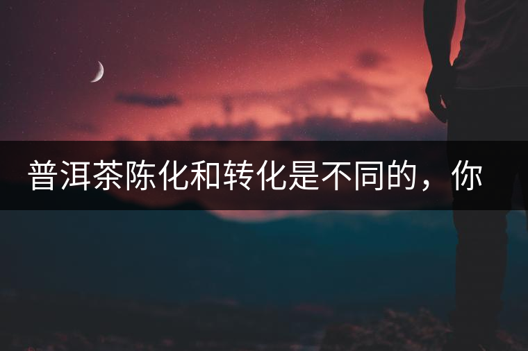 普洱茶陳化和轉(zhuǎn)化是不同的，你造嗎？