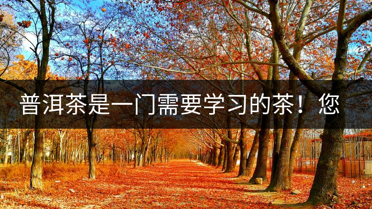 普洱茶是一門(mén)需要學(xué)習(xí)的茶！您學(xué)到了多少？看看專(zhuān)家怎么說(shuō)