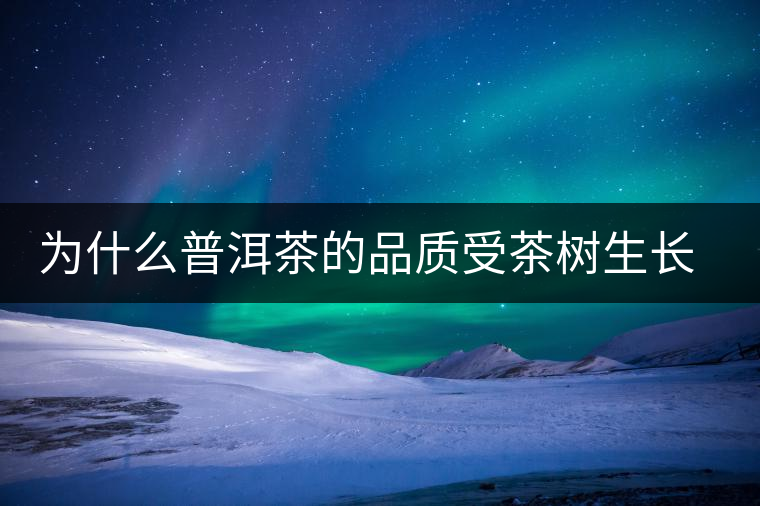 為什么普洱茶的品質(zhì)受茶樹生長環(huán)境的影響？