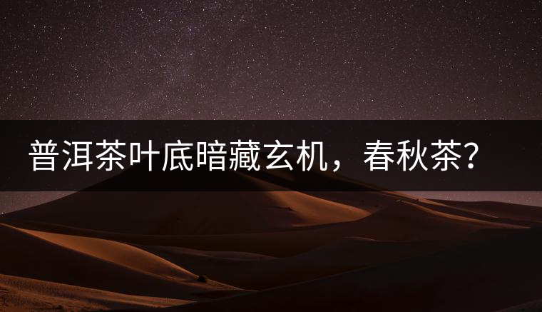 普洱茶葉底暗藏玄機，春秋茶？大樹茶？野生茶？班章料？你讀懂了嗎？