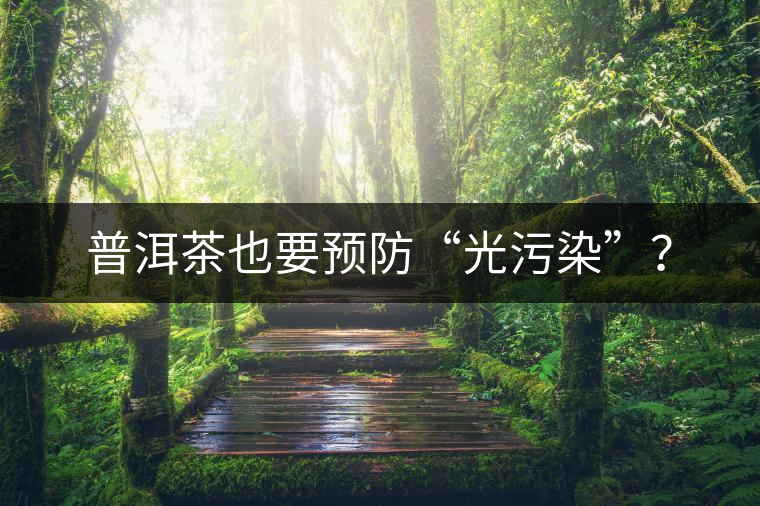 普洱茶也要預(yù)防“光污染”？