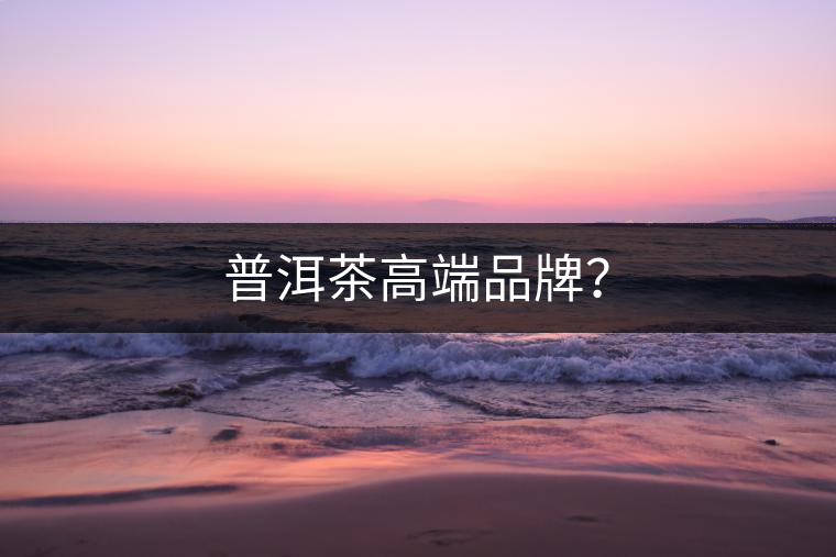 普洱茶高端品牌？