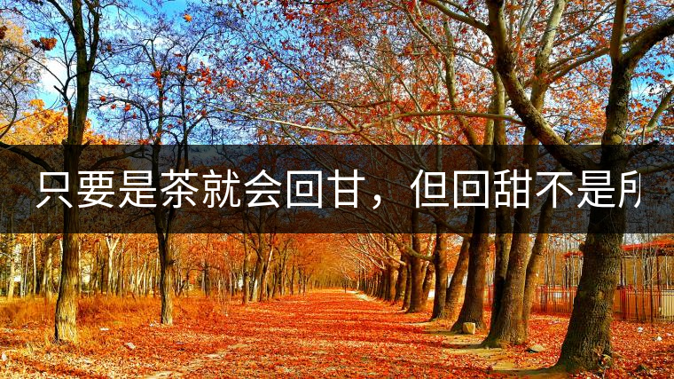 只要是茶就會(huì)回甘，但回甜不是所有茶都有！
