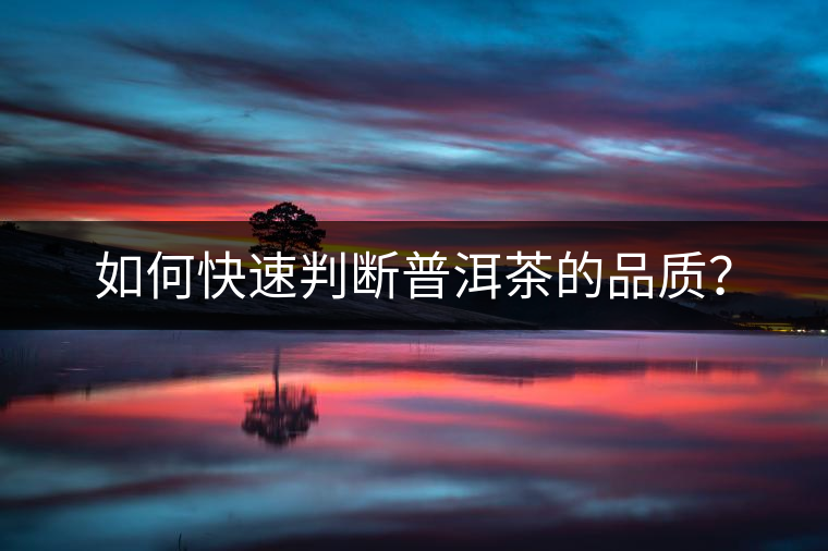 如何快速判斷普洱茶的品質(zhì)？