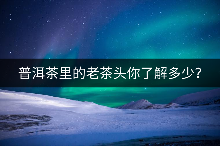 普洱茶里的老茶頭你了解多少？